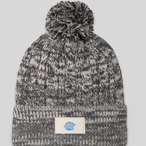 ANN ARBOR BEANIE 2024