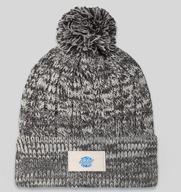 ANN ARBOR BEANIE 2024